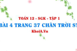 Bài 4 trang 37 Toán 12 Tập 1 Chân trời sáng tạo